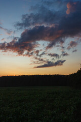 Summer landscape, Sun and sunbeams, sunset sky