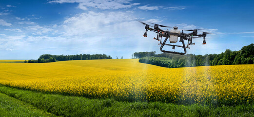 agricultural drone sprays rapeseed fields to protect against pests and increase yields.