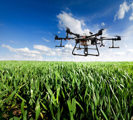 A sprayer drone flies over a wheatfield. Smart farming