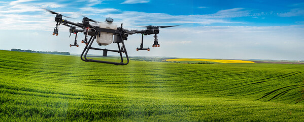 A sprayer drone flies over a hills of field with winter wheat. Smart farming