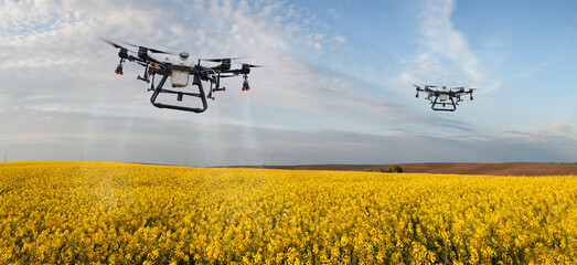 A two drone sprays a yellow field of rape against pests in a cloudy sky, Application of Zzr by Drones - Spot application, processing in the budding phase