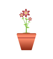 Illustration of an ornamental plant on a transparent background – Houseplant with flowers in a pot #2
