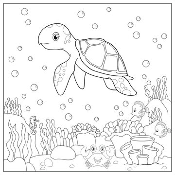 turtle and fish