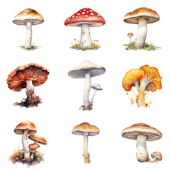 Mushrooms, watercolor illustration style, generative AI