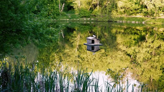 A birdhouse in the middle of a lake with a bird sitting on it. Protection of animals.