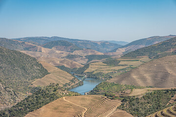 View of terraced vineyards in Douro Valley Alto Douro Wine Region in northern Portugal officially designated by UNESCO as World Heritage Site.
