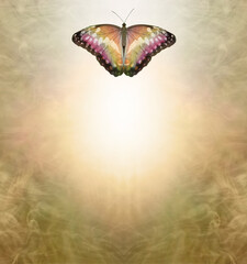 Golden Spiritual Butterfly Holistic message memo background - Misty warm tones background with a butterfly flying up and away into white light against ethereal energy field and copy space for text
