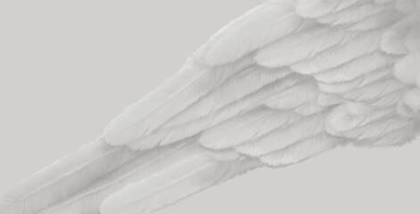 Simplistic cool pale silver grey Angel Wing Message Banner template -  large detailed angel wing across a plain grey background with space for spiritual messages or prayer text
