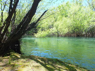 rio verde color del agua