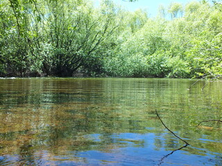 tranquilidad del rio en verano