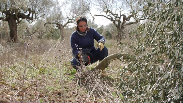 Woman Starting a Chainsaw. Nature Environment. Olive Trees