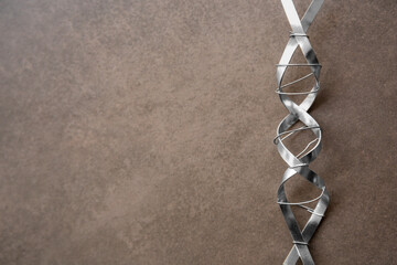 DNA molecule model made of metal on brown background, top view. Space for text
