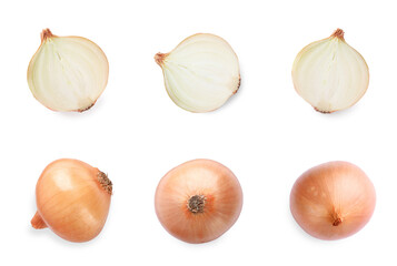 Collage with fresh onions on white background, top view