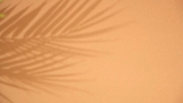 Palm leaves and their shadow on an orange background. Summer concept. Shadows of tropical leaves of a palm tree on a light brown background. Top view, flat lay.