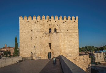 Calahorra Tower - Cordoba, Andalusia, Spain