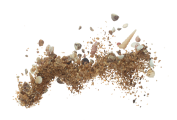 Seashell sand fall splashing in air. sea shell explosion flying, sand abstract cloud fly. Many Seashell scatter in many group. White background isolated high speed shutter freeze motion