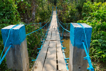 Bridge in jungle