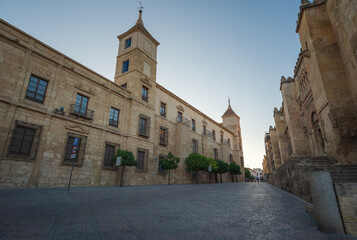 Fototapeta na wymiar Episcopal Palace - Cordoba, Andalusia, Spain
