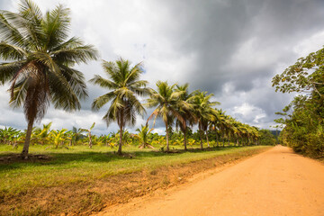 Fototapeta na wymiar Road in Belize