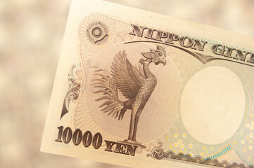 YEN - Japanese money: Close-up of a 10,000 yen banknote back view with illustration of a phoenix statue isolated on blurred background