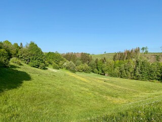 Landschaft bei der Mandelholztalsperre im Harz