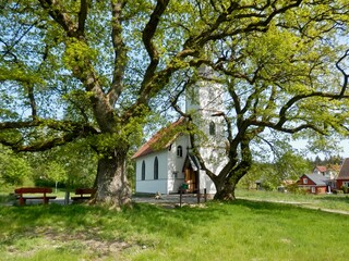 die Holzkirche von Elend im Harz, die kleinste Holzkirche