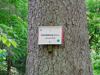 Die Elendsburg  bei Elend im Harz