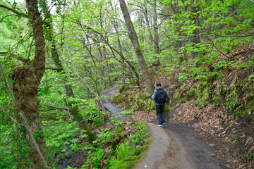 Randonneur dans la vall&eacute;e des Traoui&eacute;ro &agrave; Ploumanac'h - Bretagne
