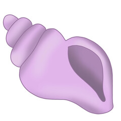 sea shell Summer sea beach cliparts illustration