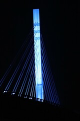 ライトアップされた日本の橋