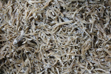 dried fishes background