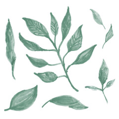 green leaves watercolor