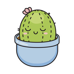 cactus in pot