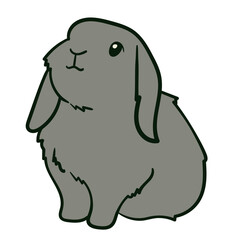 Fototapeta premium Set Cute Grey Rabbits Various Poses Stock Vector_Pose 