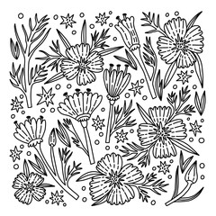 Flower Poppy illustration for adult or children coloring book. Hand Drawn vector naive floral for drawing
