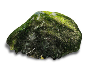 A close-up of a stone covered in moss isolated on transparent background