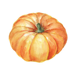 Watercolor illustration hand drawn orange pumpkin vegetable