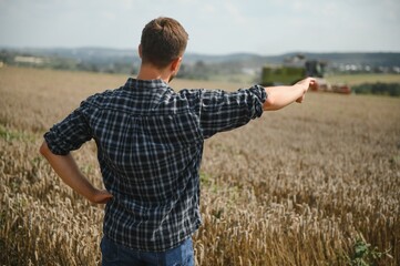 Naklejka na ściany i meble Farmer Standing In Wheat Field At Harvest