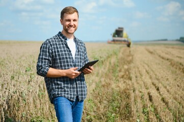 Farmer In Wheat Field Inspecting Crop. Farmer in wheat field with harvester