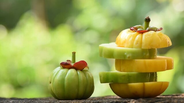 Garcinia atroviridis or Garcinia fruit on nature background.