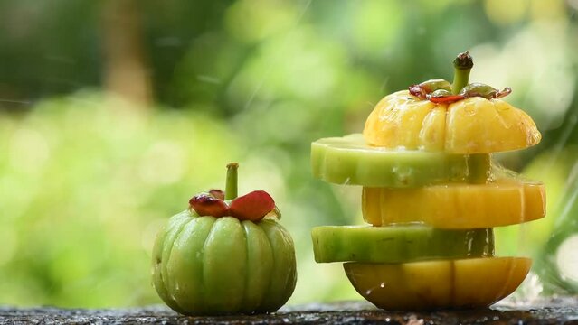 Garcinia atroviridis or Garcinia fruit on nature background.