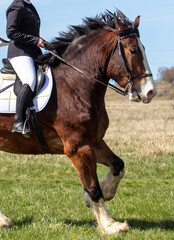 A woman rides a horse in nature