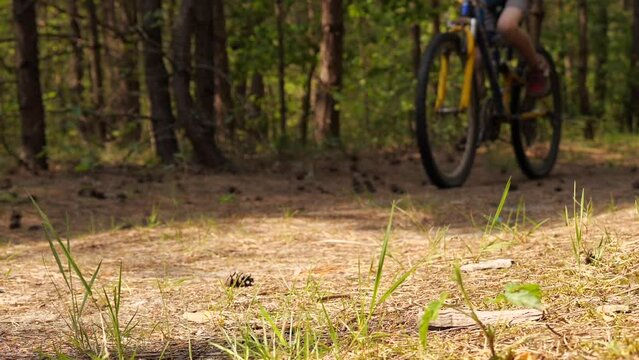 cycling in the forest slow motion