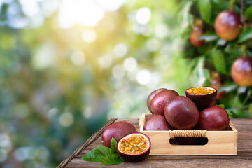 Passion fruit (Marecuya) with cut in half sliced in wooden crate isolated on wooden table background with passionfruit tree in garden blur background.