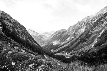 Swiss alps in summer black and white