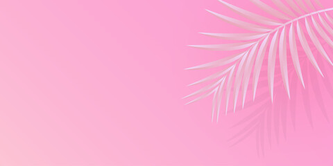 Palm tree background pink and white. Horizontal orientation, copy space. Vector design.
