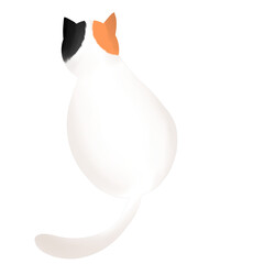 white cat whit black and orange ear