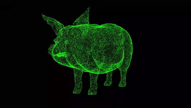 3D pig rotates on black background. Object made of shimmering particles. Animal concept. For title, text, presentation. 3d animation 60 FPS