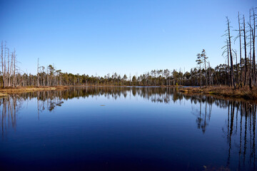 Lake surounded by the forest with blue sky above with few white clouds, selective focus