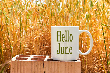 hello June concept on white coffee mockup cup above brick with spike background © hadjanebia